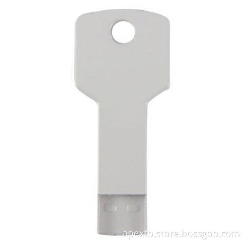 Key Flash USB with 1GB and 2GB Memory Capacity, Customized Logo WelcomedNew
